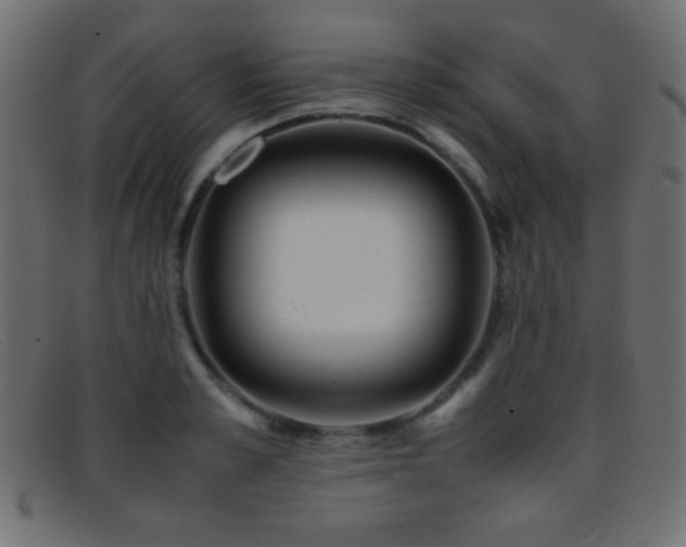 X0000095690989200801081244