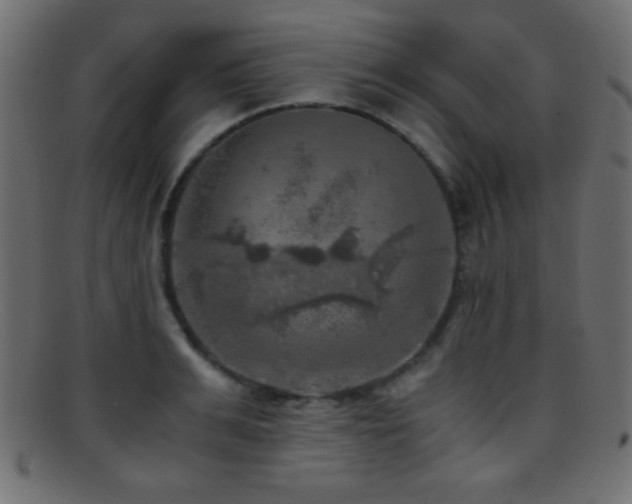 X0000095690991200801081244