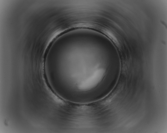 X0000095690992200801081244