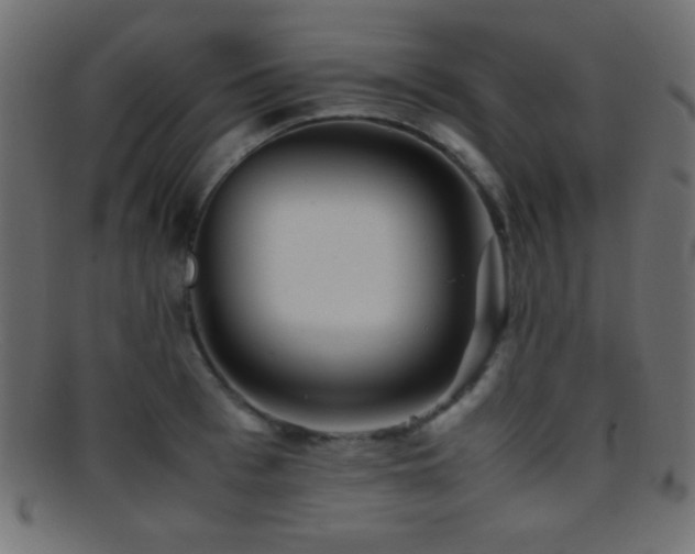 X0000095690993200801081244