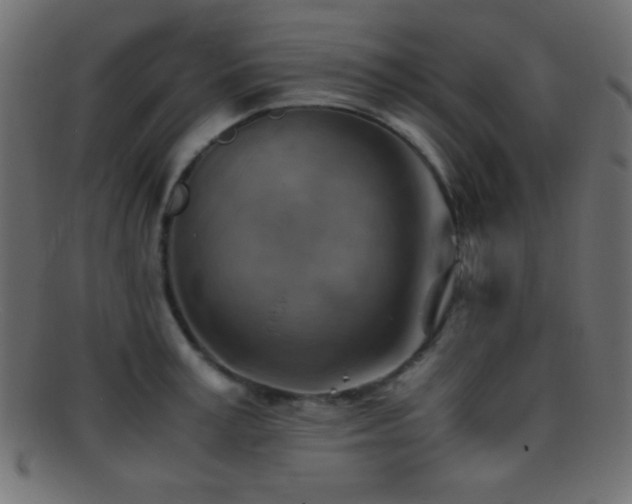 X0000095690995200801081244