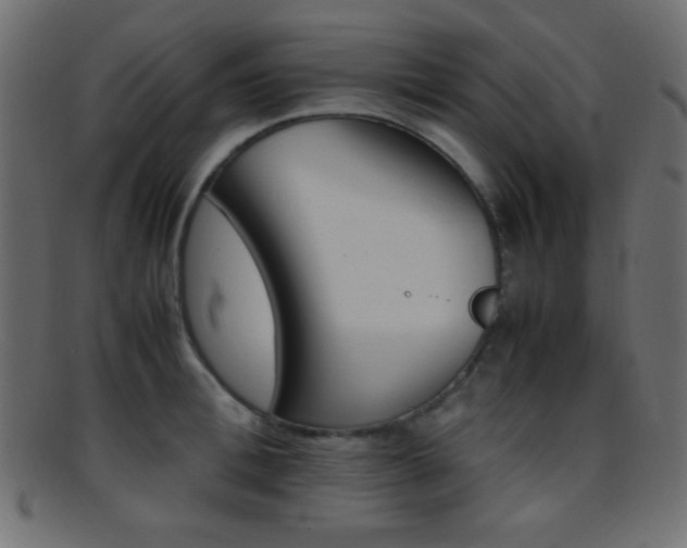 X0000095690996200801081244