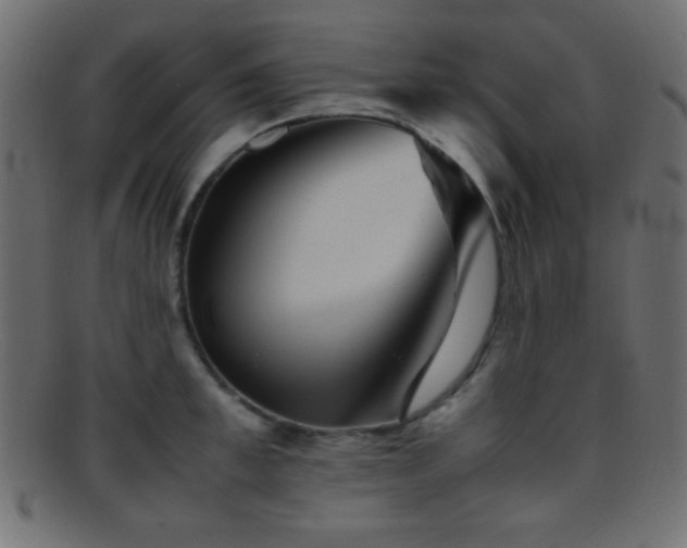 X0000095690997200801081244