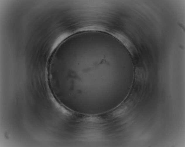 X0000095690998200801081244