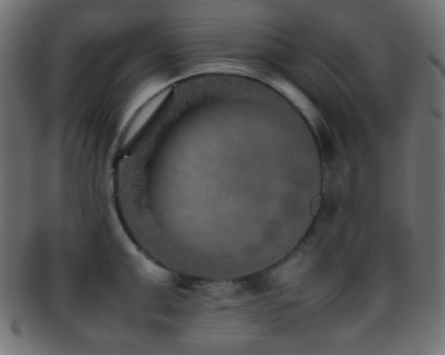 X0000095690999200801081244