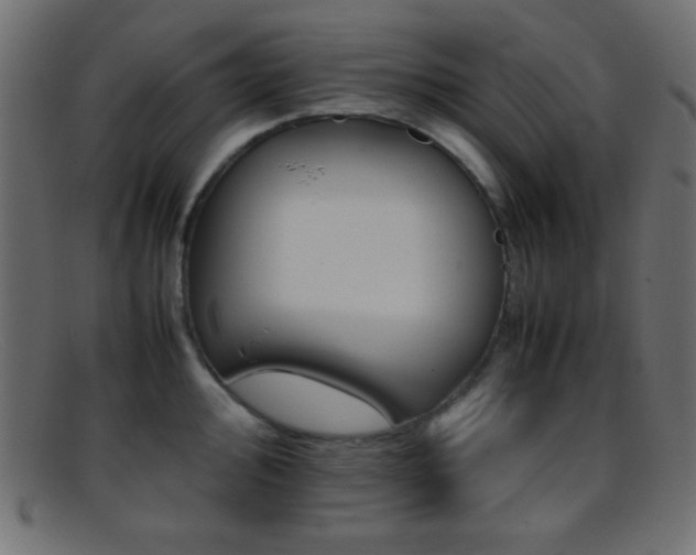 X0000095691000200801081244