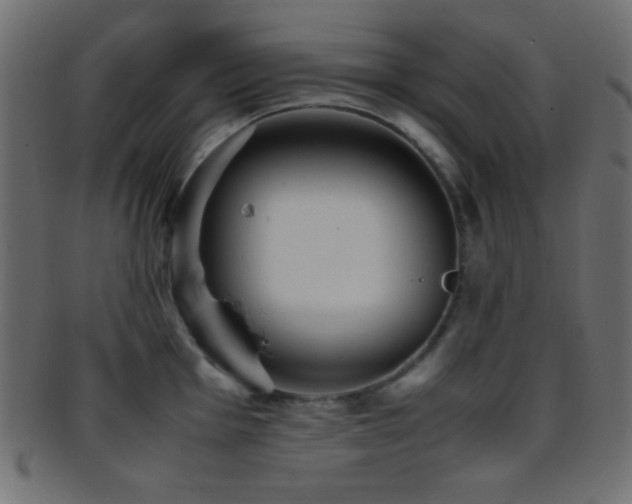 X0000095691001200801081244