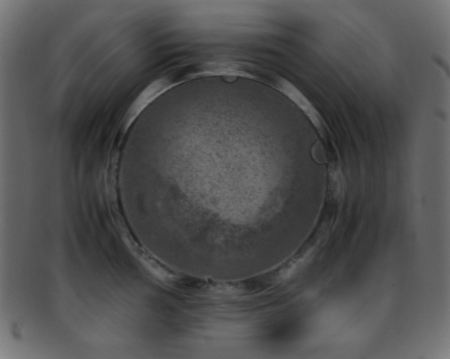 X0000095691002200801081244