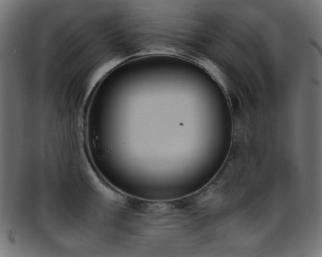 X0000095691003200801081244