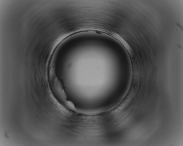 X0000095691004200801081244