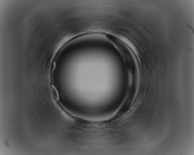 X0000095691005200801081244