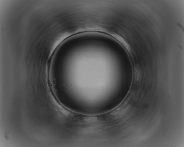 X0000095691006200801081244