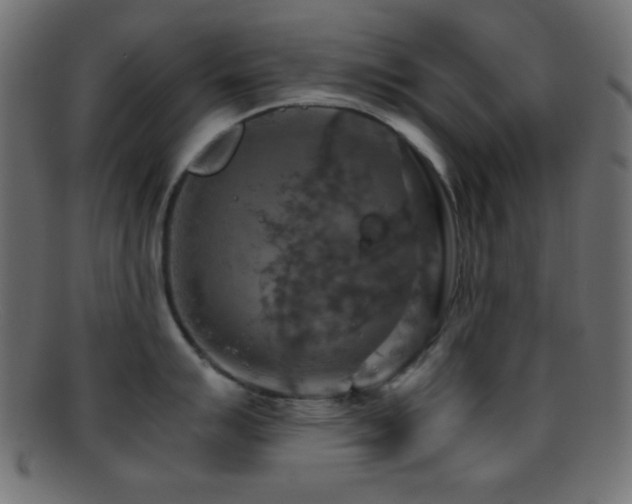X0000095691007200801081244