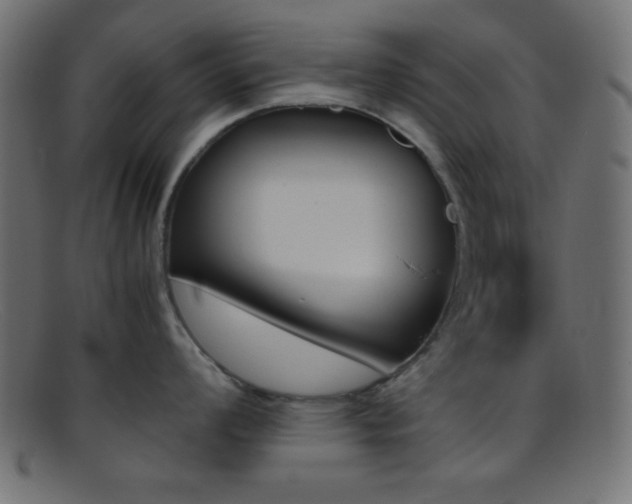 X0000095691008200801081244