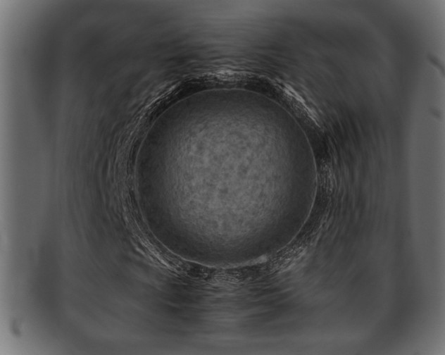 X0000095691009200801081243
