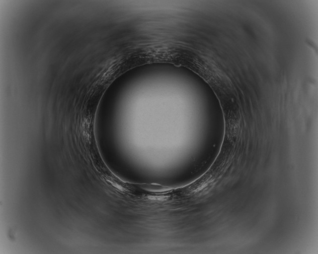 X0000095691010200801081243