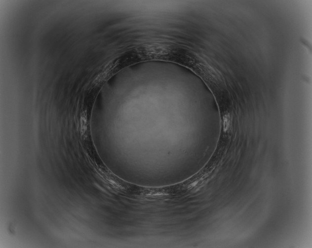 X0000095691011200801081243