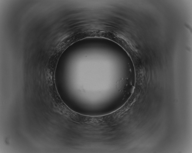 X0000095691013200801081243