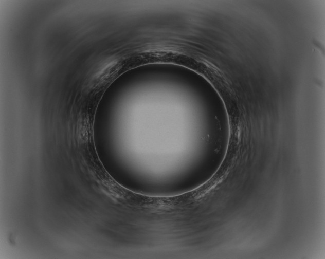 X0000095691014200801081243