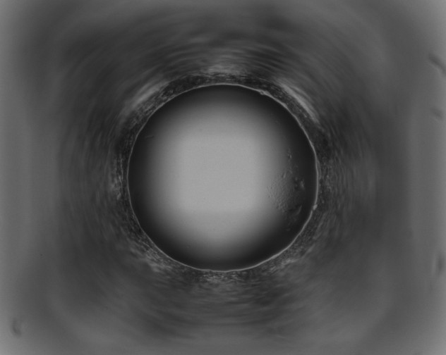 X0000095691015200801081243