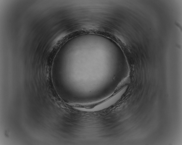 X0000095691016200801081243