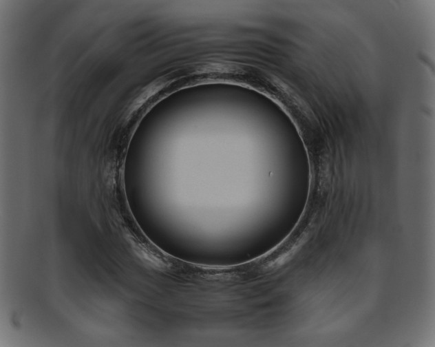 X0000095691017200801081243