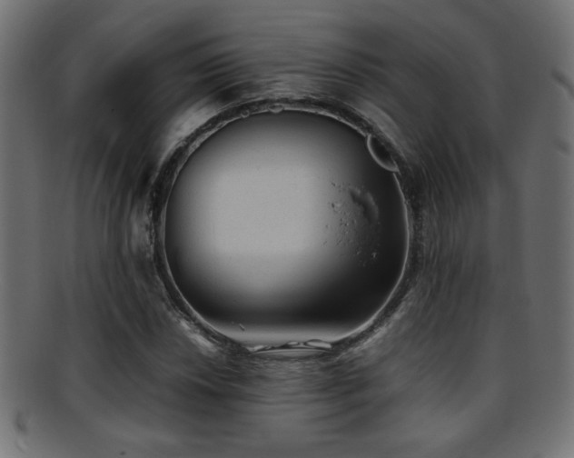 X0000095691018200801081243