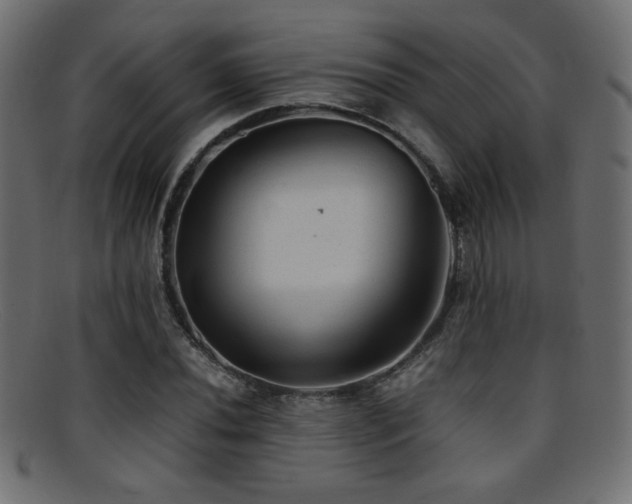 X0000095691020200801081243