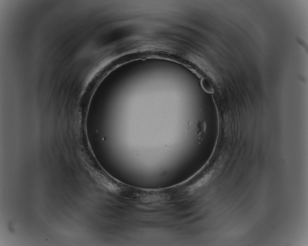X0000095691021200801081243