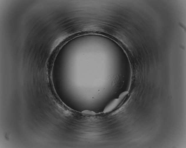X0000095691022200801081243