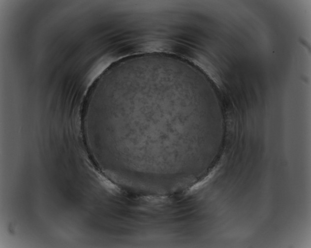 X0000095691023200801081243