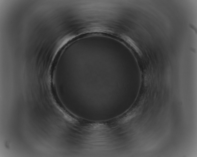 X0000095691024200801081243