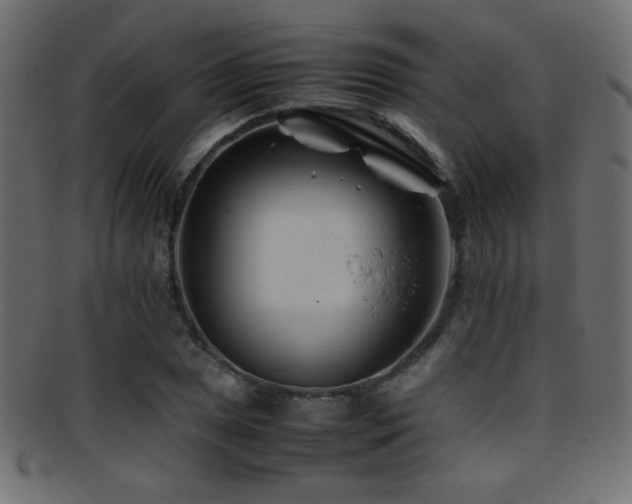 X0000095691025200801081243