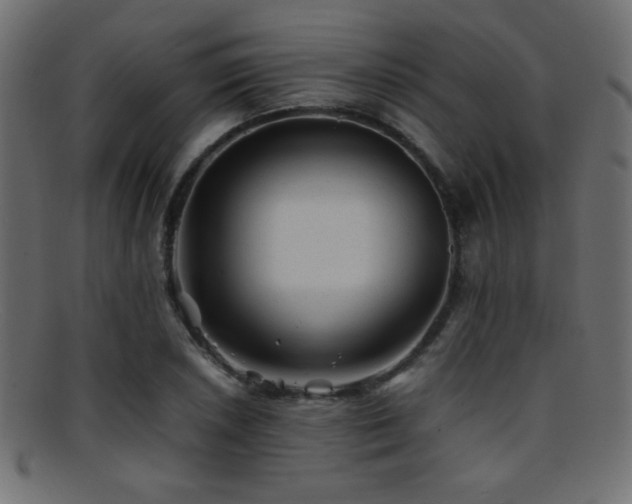 X0000095691026200801081243