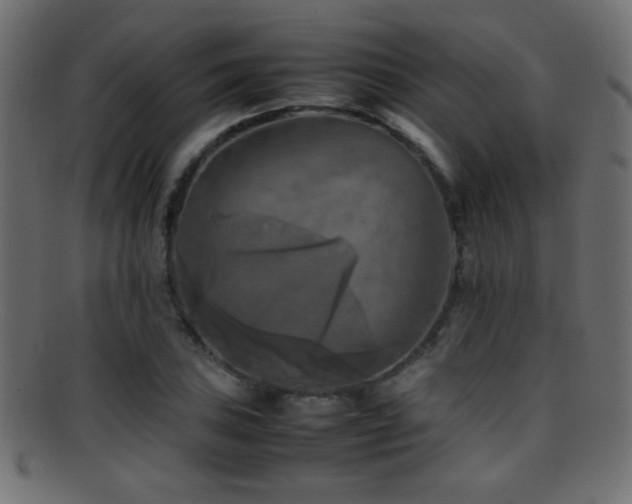 X0000095691027200801081243