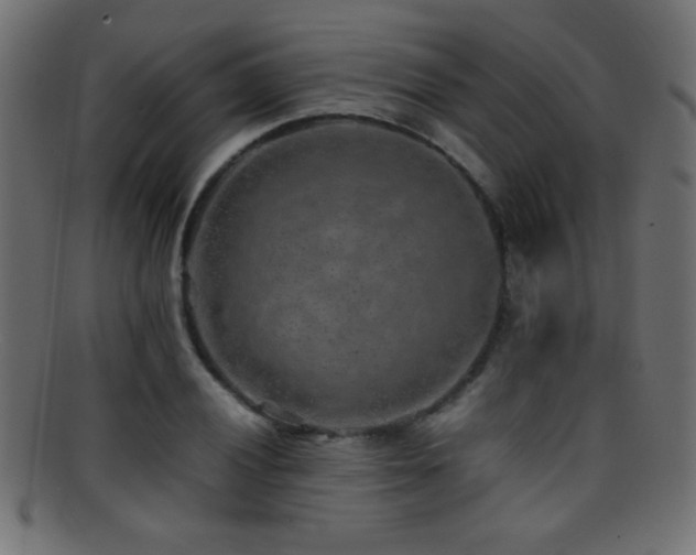 X0000095691028200801081243