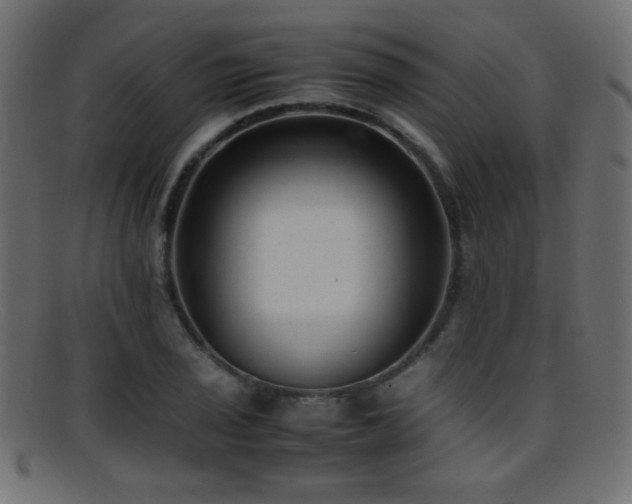 X0000095691029200801081243