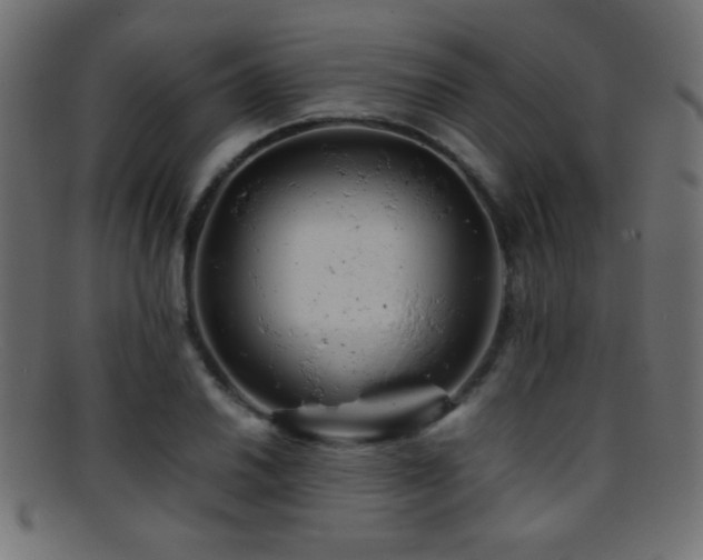 X0000095691030200801081243