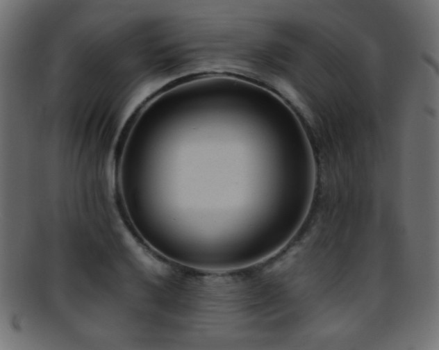 X0000095691032200801081243