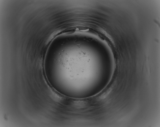 X0000095691033200801081244