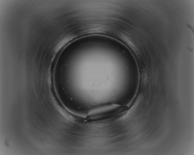 X0000095691034200801081244