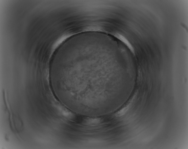 X0000095691035200801081244