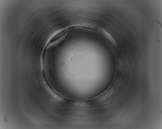 X0000095691036200801081244