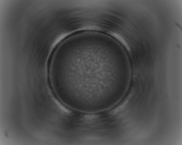 X0000095691037200801081244