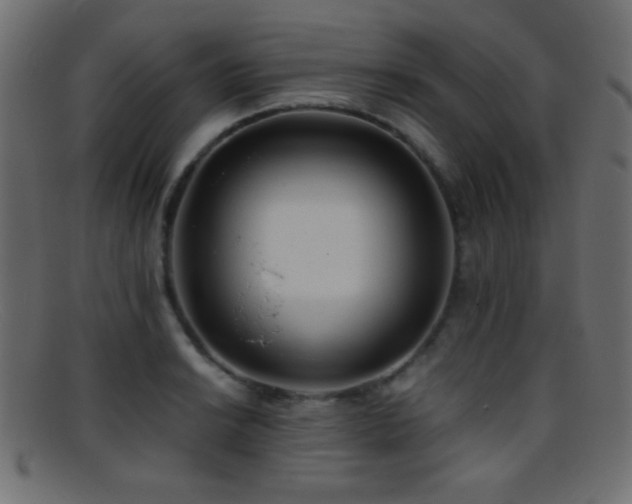 X0000095691038200801081244