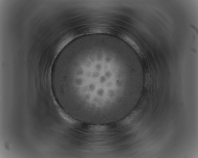 X0000095691039200801081244