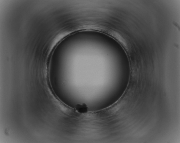 X0000095691040200801081244