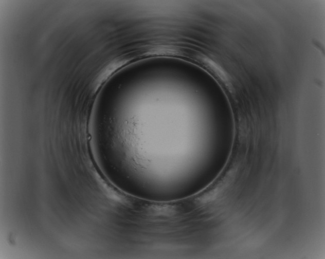X0000095691041200801081244