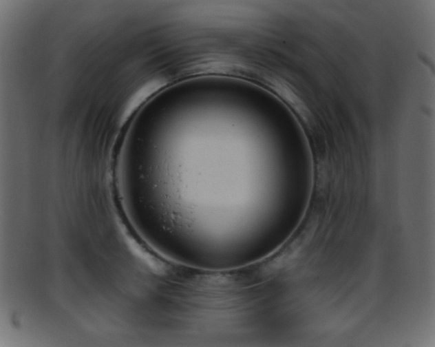 X0000095691042200801081244