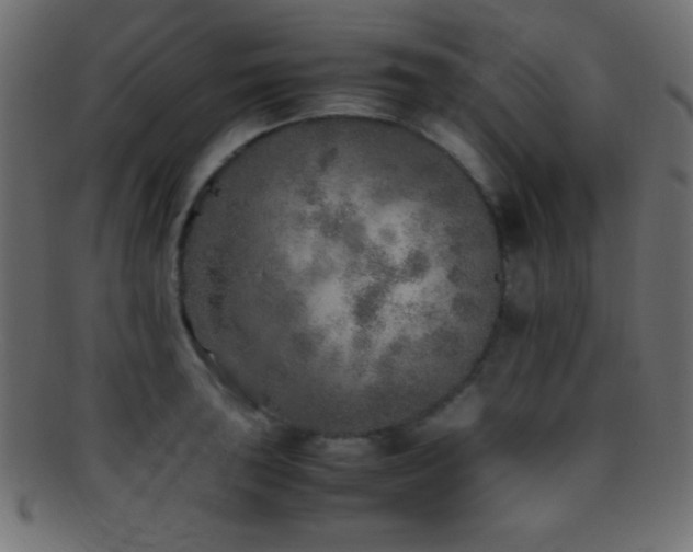 X0000095691043200801081244
